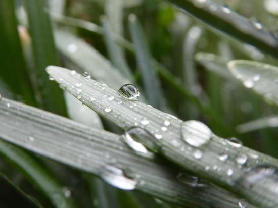 ФОТО: UNSPLASH.COM 