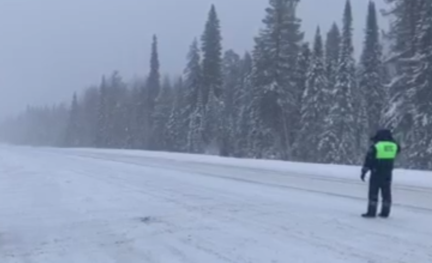 Автодорога из Плесецка в Кенозерье зимой