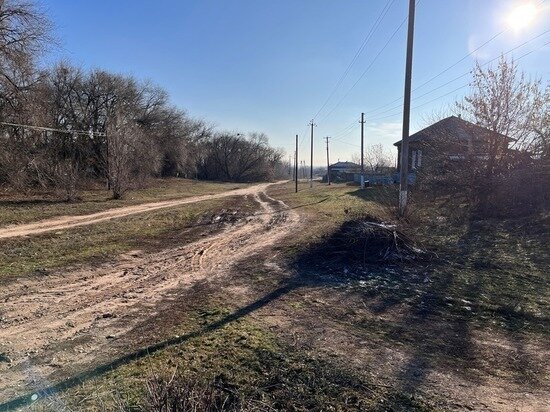     Саратовское село. Фото: МК в Саратове