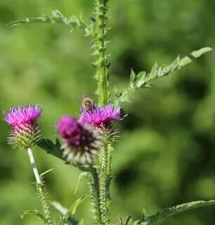 Фото взято из сторонних источников.