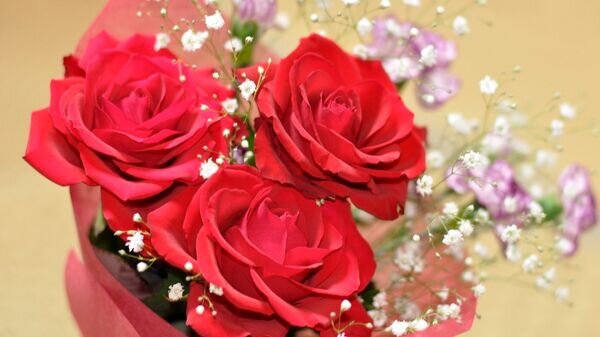   CC BY 2.0 / Flikr / RageZ / flower