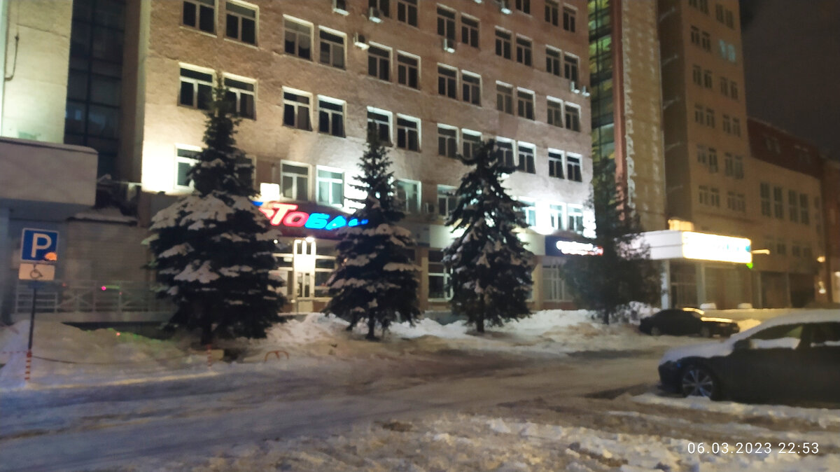 Фотография автора. Елочки красавицы которые оживляют и украшают своим видом эту улочку. 