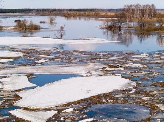     Фото: из архива ГУ МЧС