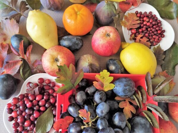    Фото: Екатерина Иванова. UG.RU