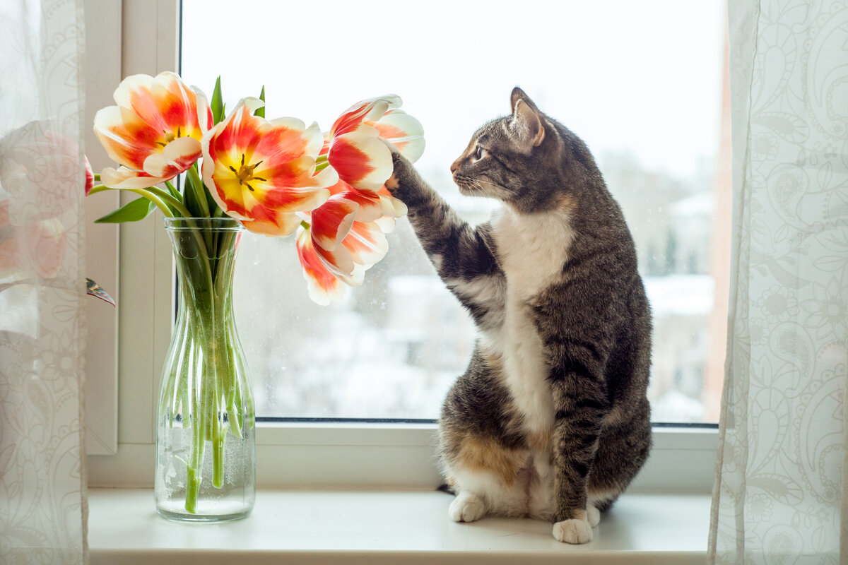 ���� �� ���������.