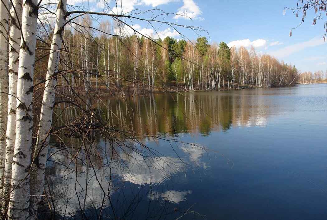 Водоём в апреле.