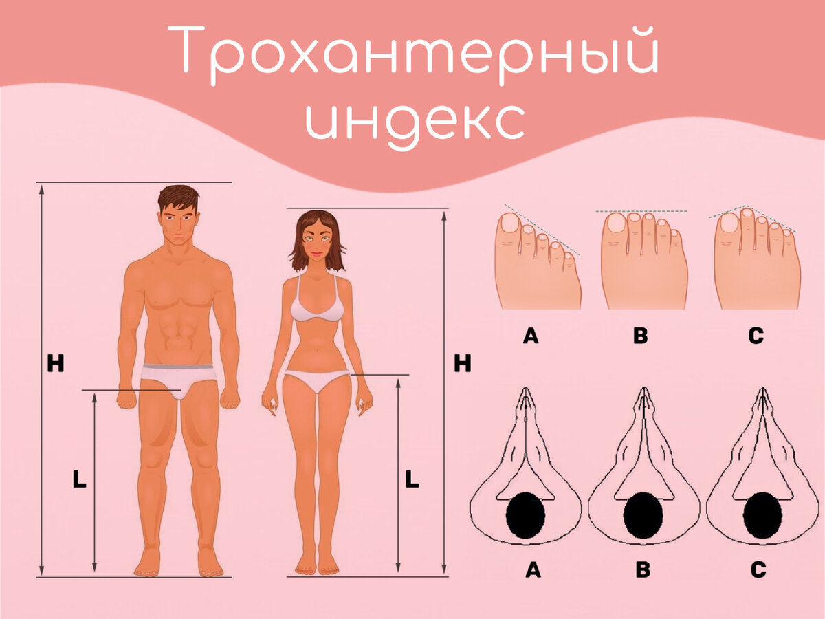 Определение половой конституции по Трохантерному Индексу. 