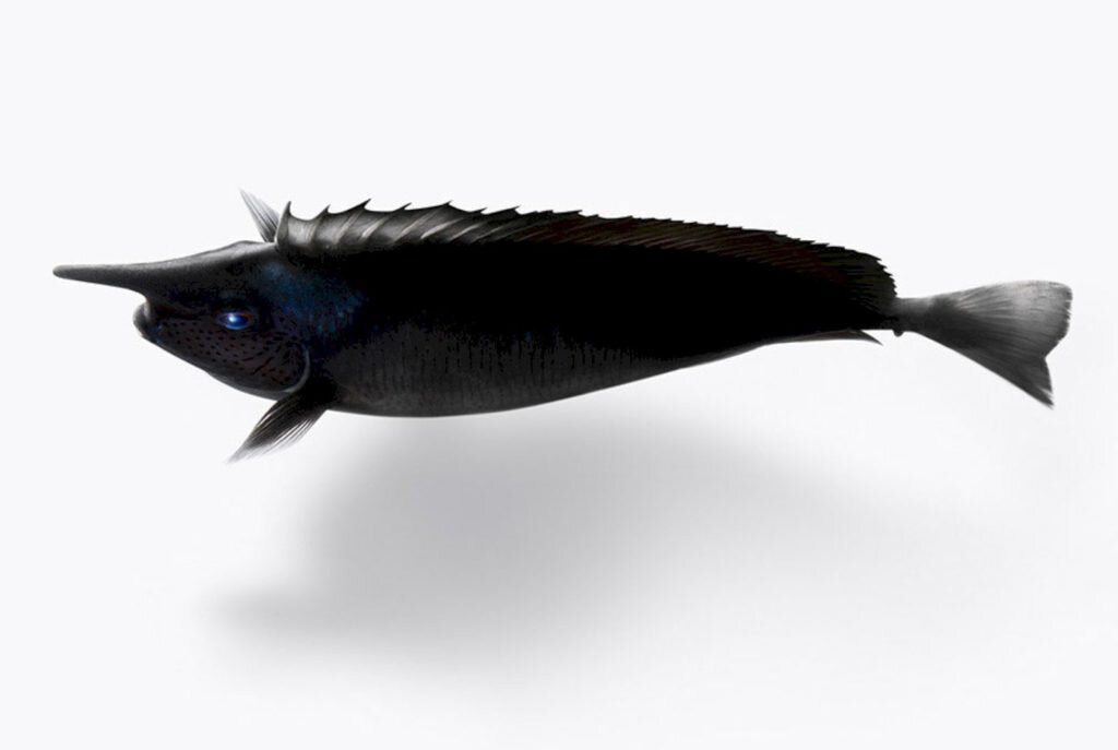    Фото: Yusuke Nishibe