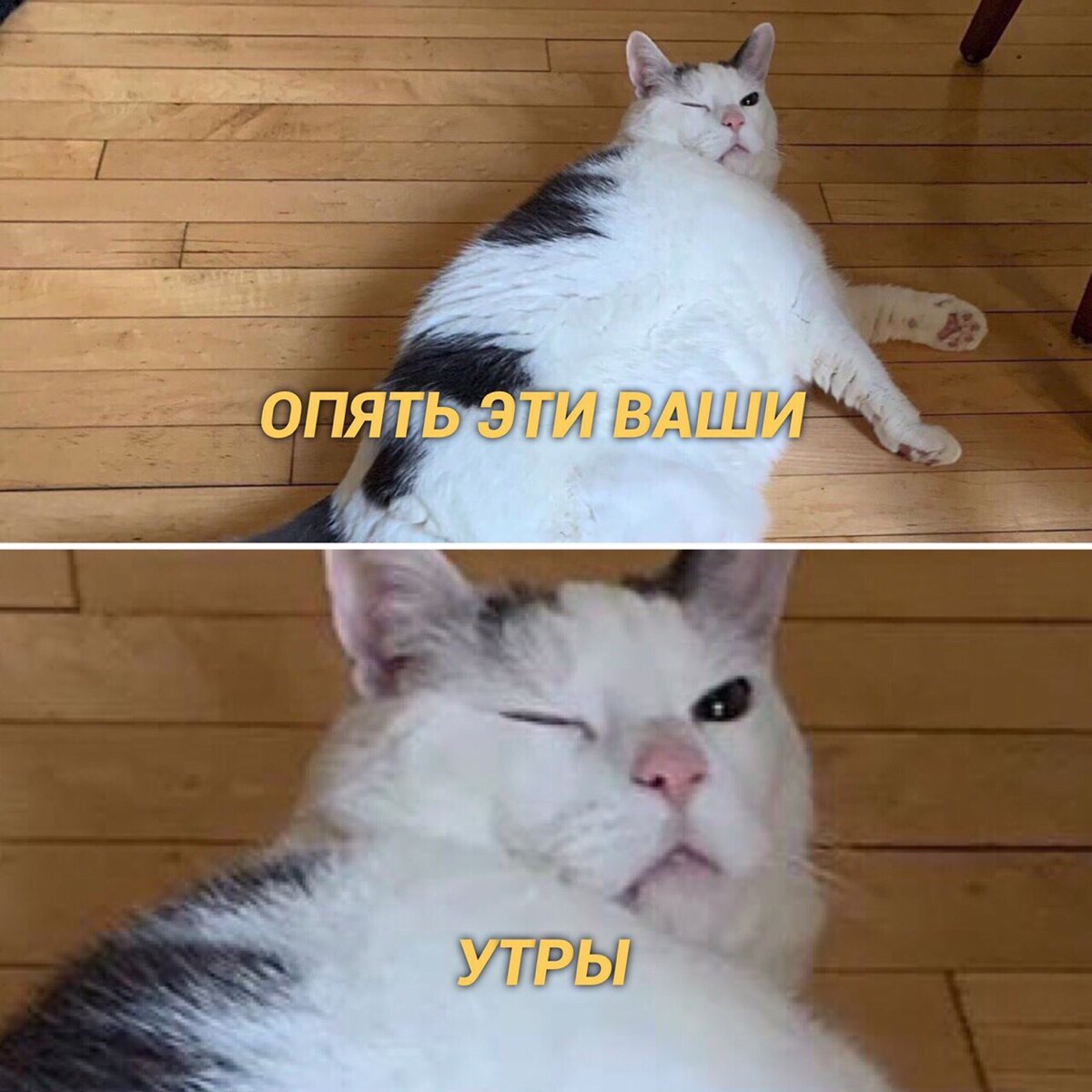 Источник: Яндекс картинки