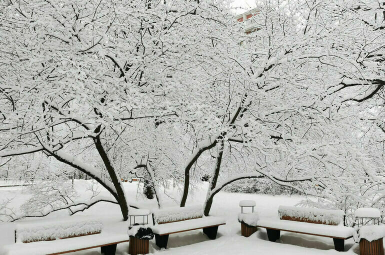   Игорь Самохвалов/ПГ