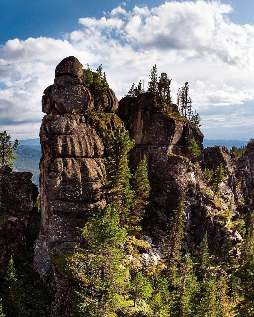 Фото: Лена Бахтина