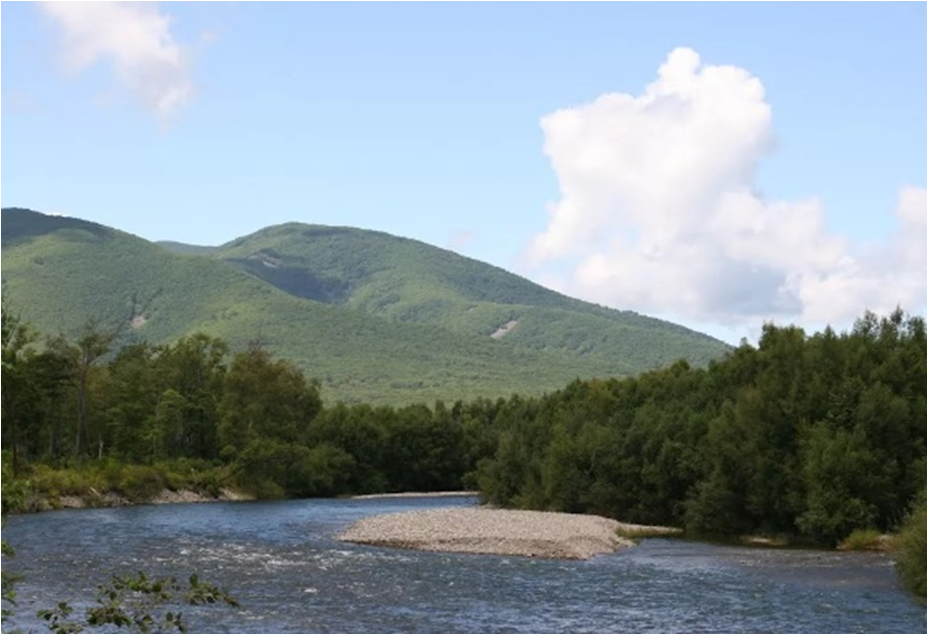 Дальнегорск пластун