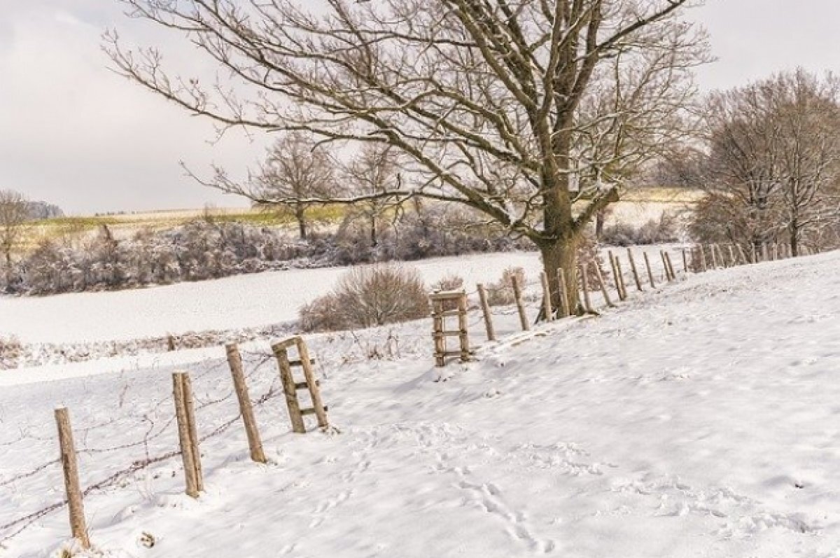    В Тюменской области бесплатно выдают землю учителям и врачам