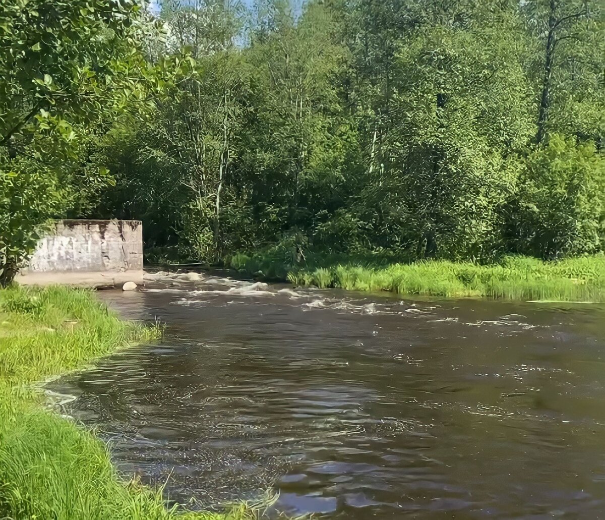 Река Петлянка