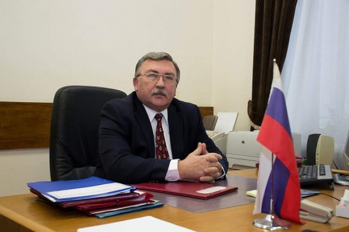    Ульянов раскритиковал направленное в МАГАТЭ заявление 50 делегаций по ЗАЭС