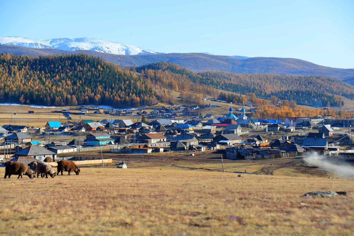 Фото Ольга Шадрина