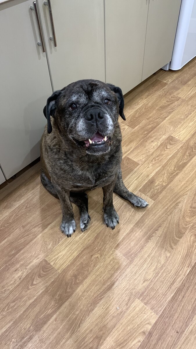 Любимая! Самая лучшая!  Ты всегда будешь с нами.