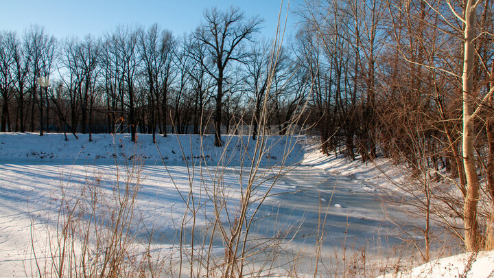 ФОТО:@SVETLANA VOZMILOVA/GLOBALLOOKPRESS