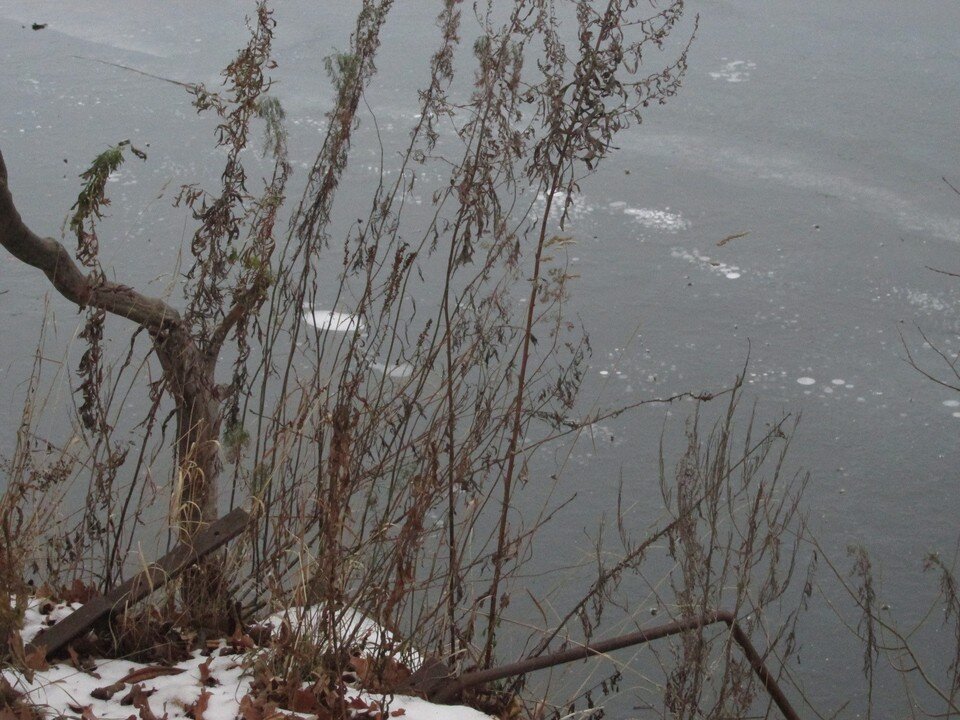     Фото Елены Федяшевой  из архива «КП»