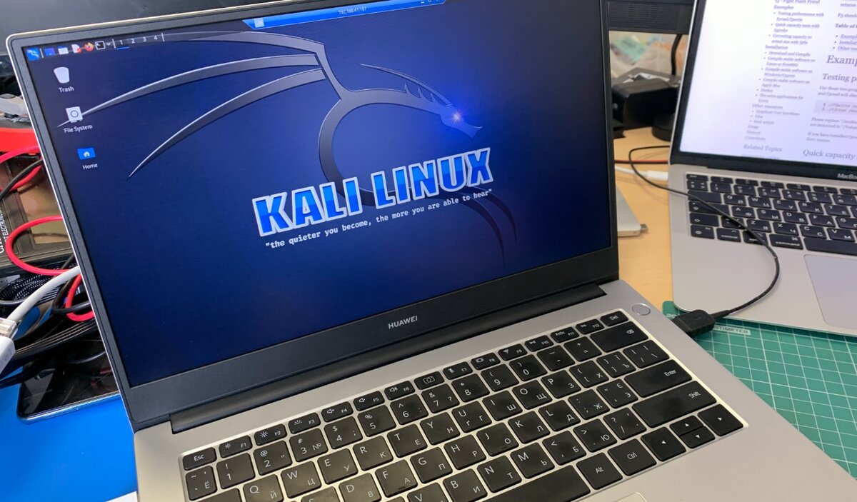 Установка Kali Linux с графической оболочкой в Windows 11 за 5 минут |  mdex-nn.ru | Дзен