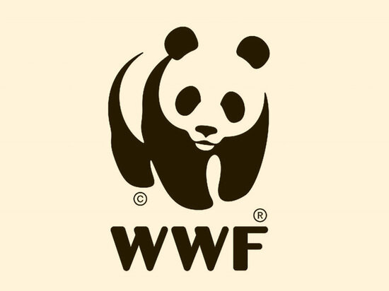   ru.wikipedia.org