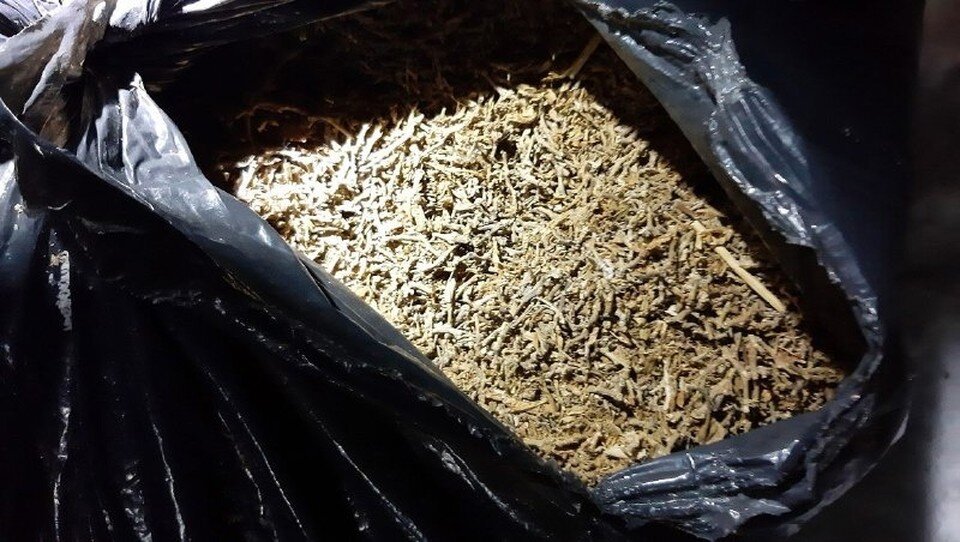    Пресс-служба МВД России по Томской области