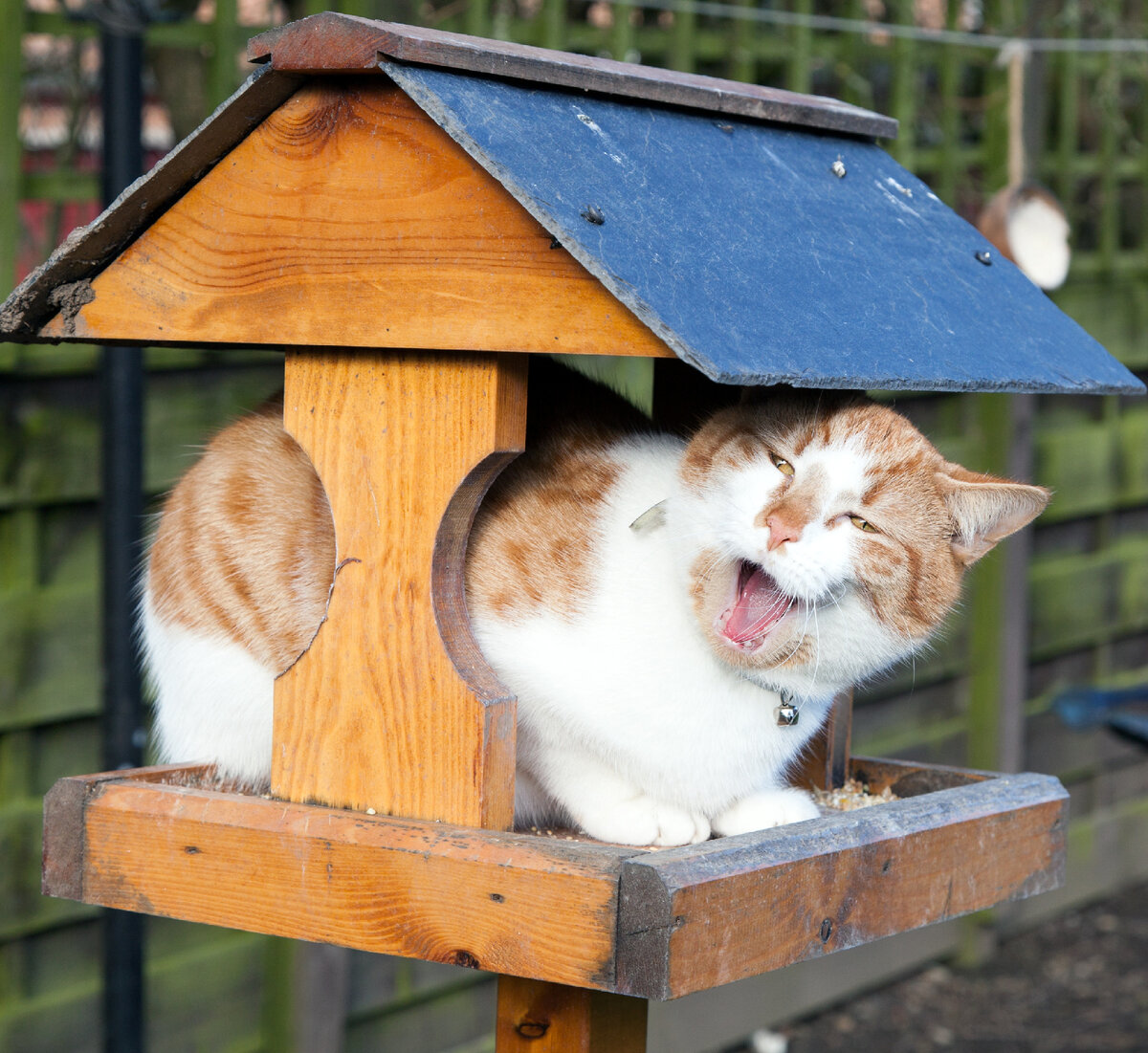 Источник: Яндекс картинки