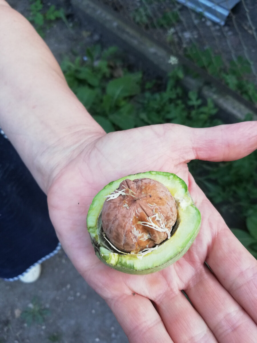 из личного архива