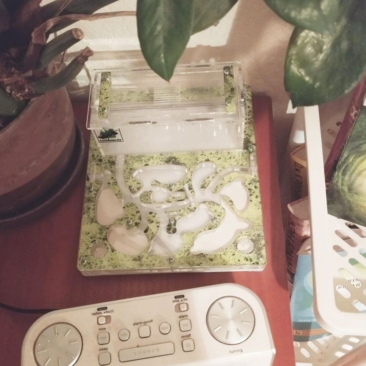 Дом для мурашек