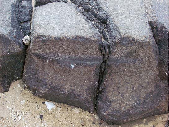 Автор фото Наталья (форум ЛАИ).