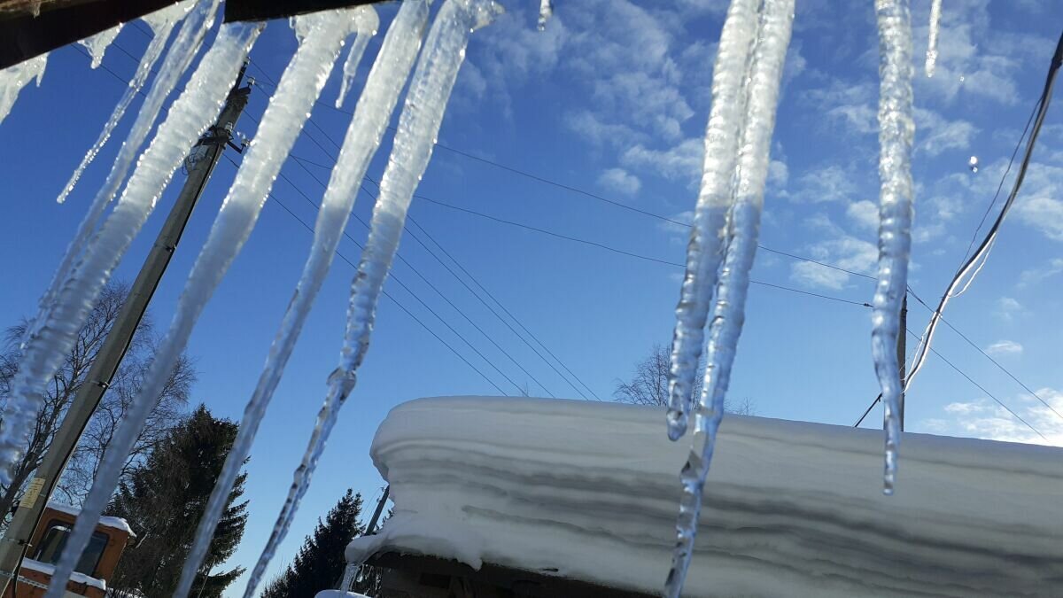 Вот такие милахи выросли под крышей