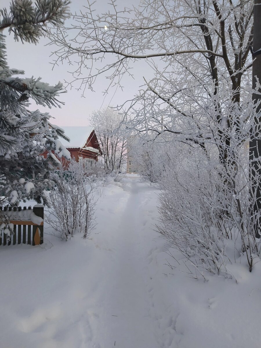 Ещё  неделю назад на улице была Зима и Весной чуть чуть попахивало)))