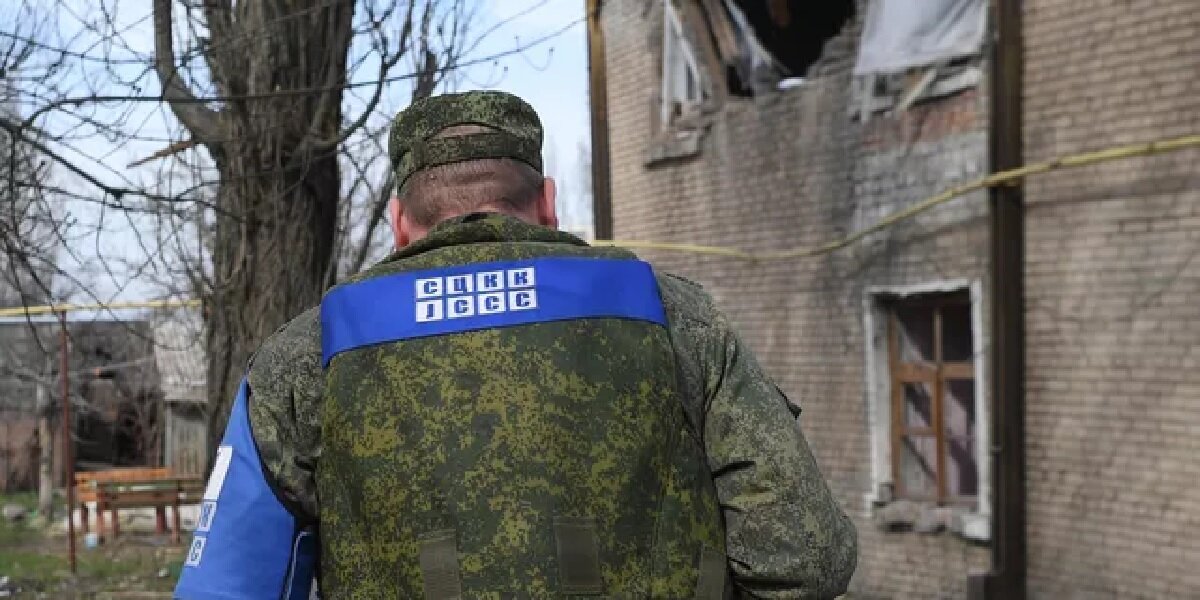 Фото: РИА «Новости» (https://cdnn21.img.ria.ru/images/07e6/05/08/1787528562_0:358:3004:2048_640x0_80_0_0_8b925c4d36ab75b7aa58b327b418c1e5.jpg.webp)