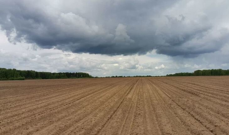    В Татарстане в 2023 году расширят страхование посевов более чем в 1,5 раза