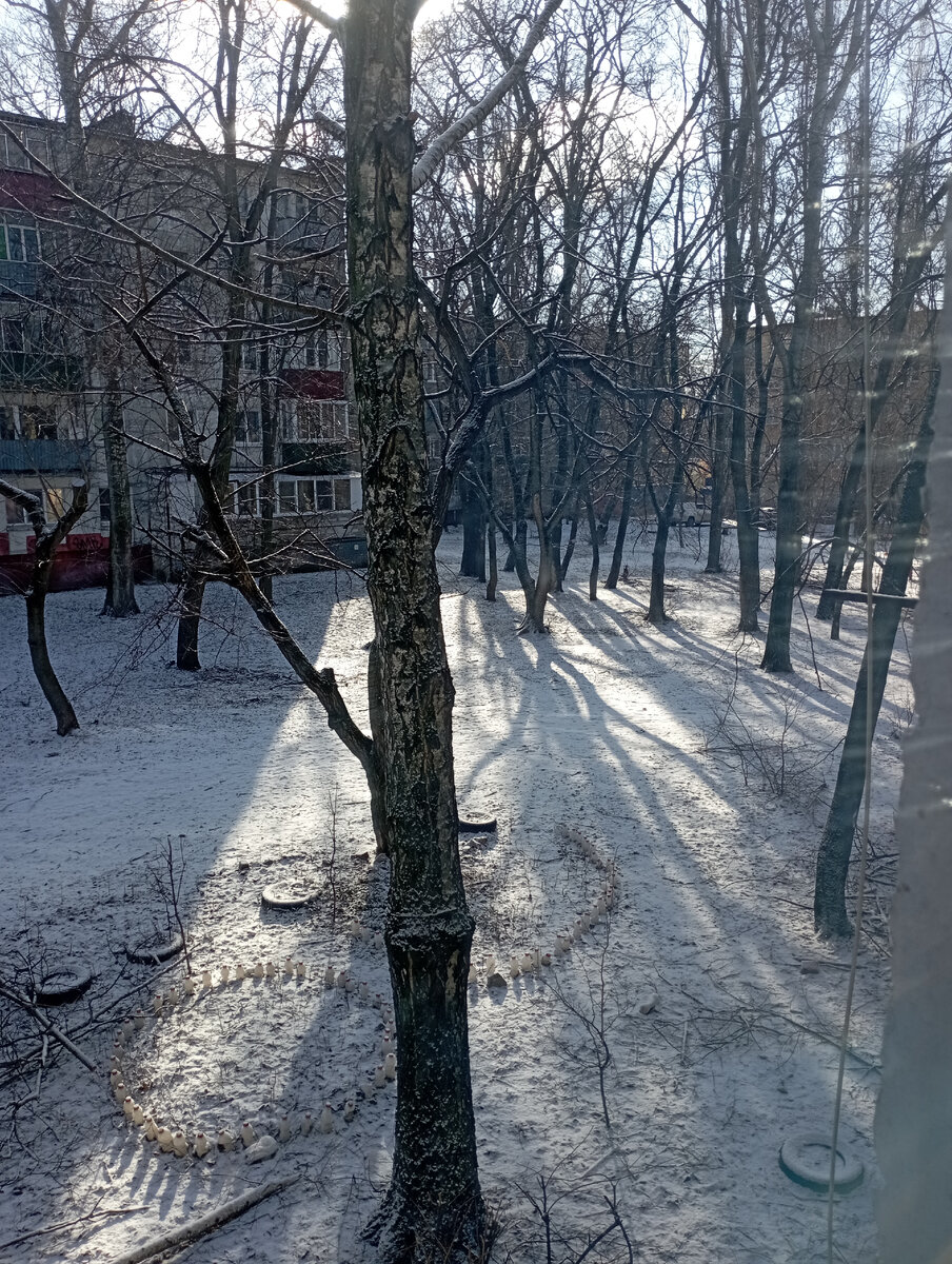 Личное фото автора. 