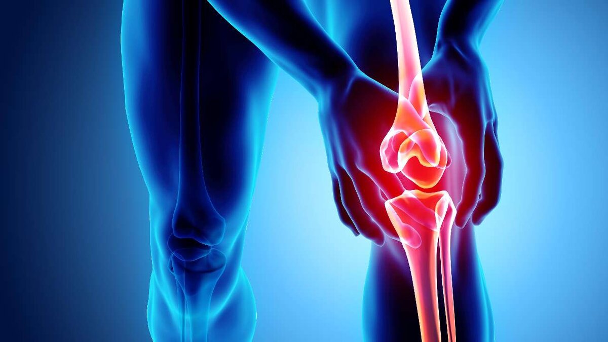    Ученые НИУ «БелГУ» обнаружили новые генетические маркеры развития остеоартроза