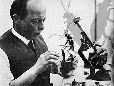 В. Старевич