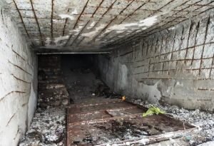    Фото: biradm.ru Инга Ланская