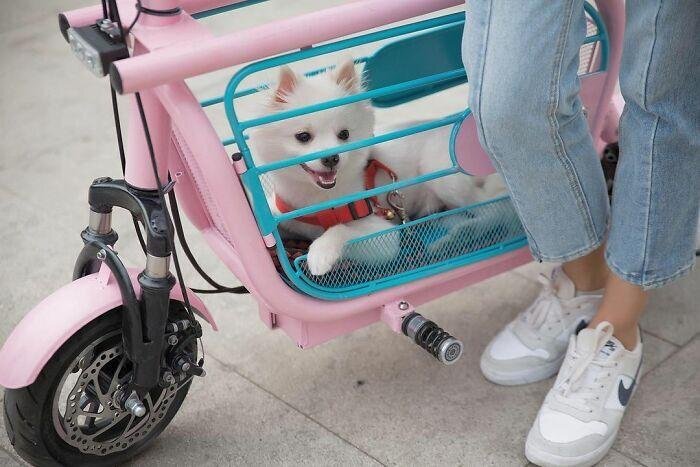      mopet.ebike