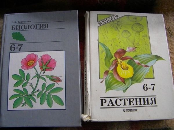 Стар 6 класс. Старый учебник биологии. Старые учебники по биологии. Учебник по биологии 2000 года. Биология 6 класс старый учебник.