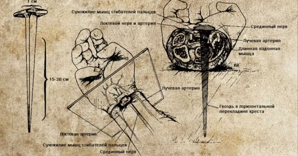 Он истекал кровью по всему телу из-за бичевания, тернового венца, гвоздей в запястьях и ногах, а также множественными рваными ранами, полученными Им при избиениях и падениях.
«…Но Он изъязвлен был за грехи наши и мучим за беззакония наши; наказание мира нашего было на Нем… Он истязуем был, но страдал добровольно и не открывал уст Своих; как овца, веден был Он на заклание, и как агнец пред стригущим его безгласен, так Он не отверзал уст Своих.»
(Библия, Книга пророка Исаии 53 стихи 5,7)