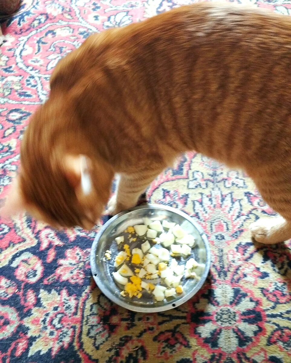 Личное  фото.