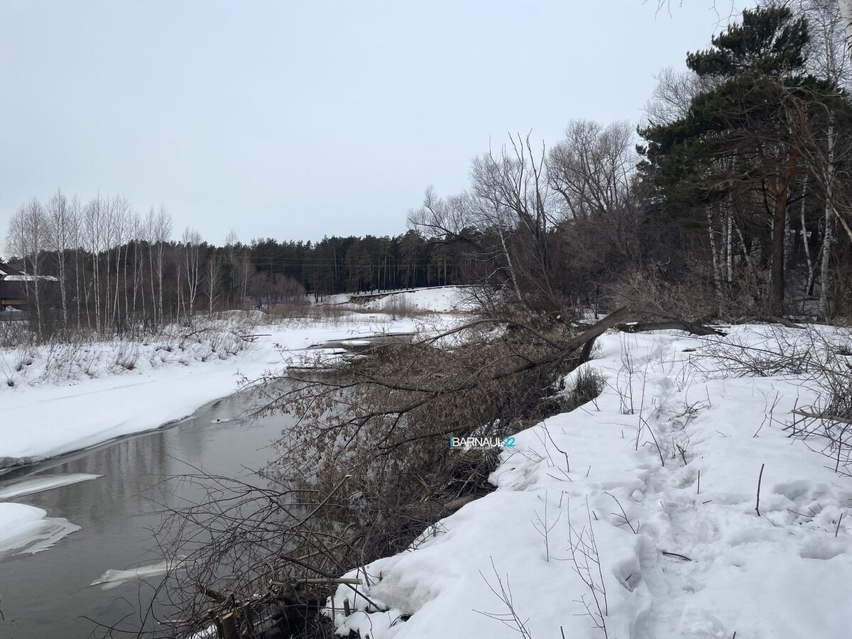 Фото: Barnaul 22