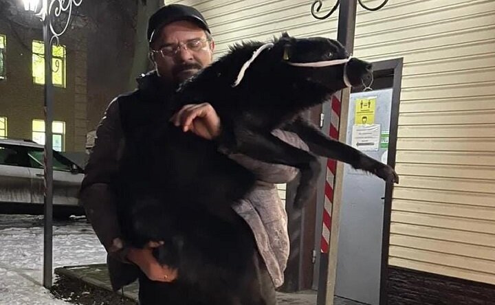 Фото из личного архива Ильи Нурутдинова