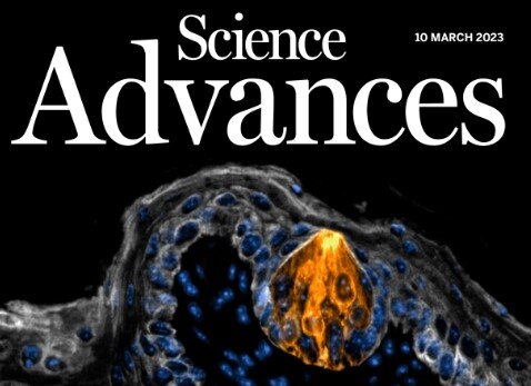 Обложка последнего выпуска журнала (картинка ии ОИ)