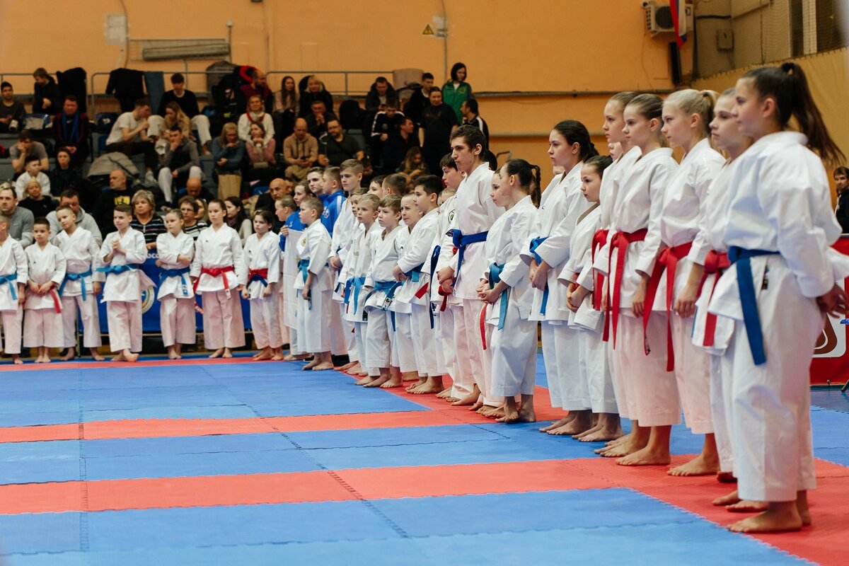 WKF каратэ макет