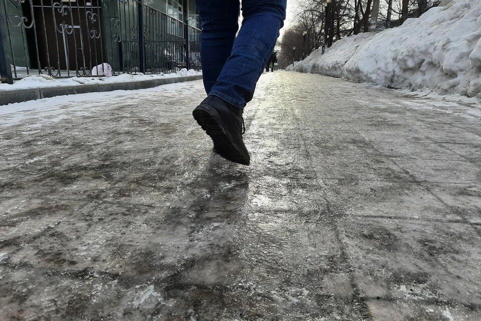     Фото: София БЕРЕЗОВСКАЯ