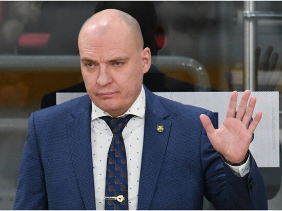     Андрей Разин, фото: хк "Северсталь"