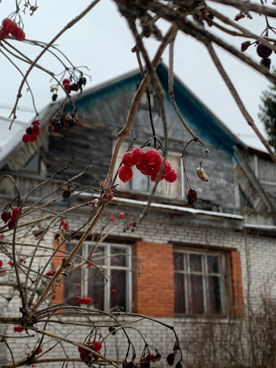 Усадьба Лопухинка: все в прошлом, вообще все, и уже довольно давно | От  Питера до… | Дзен