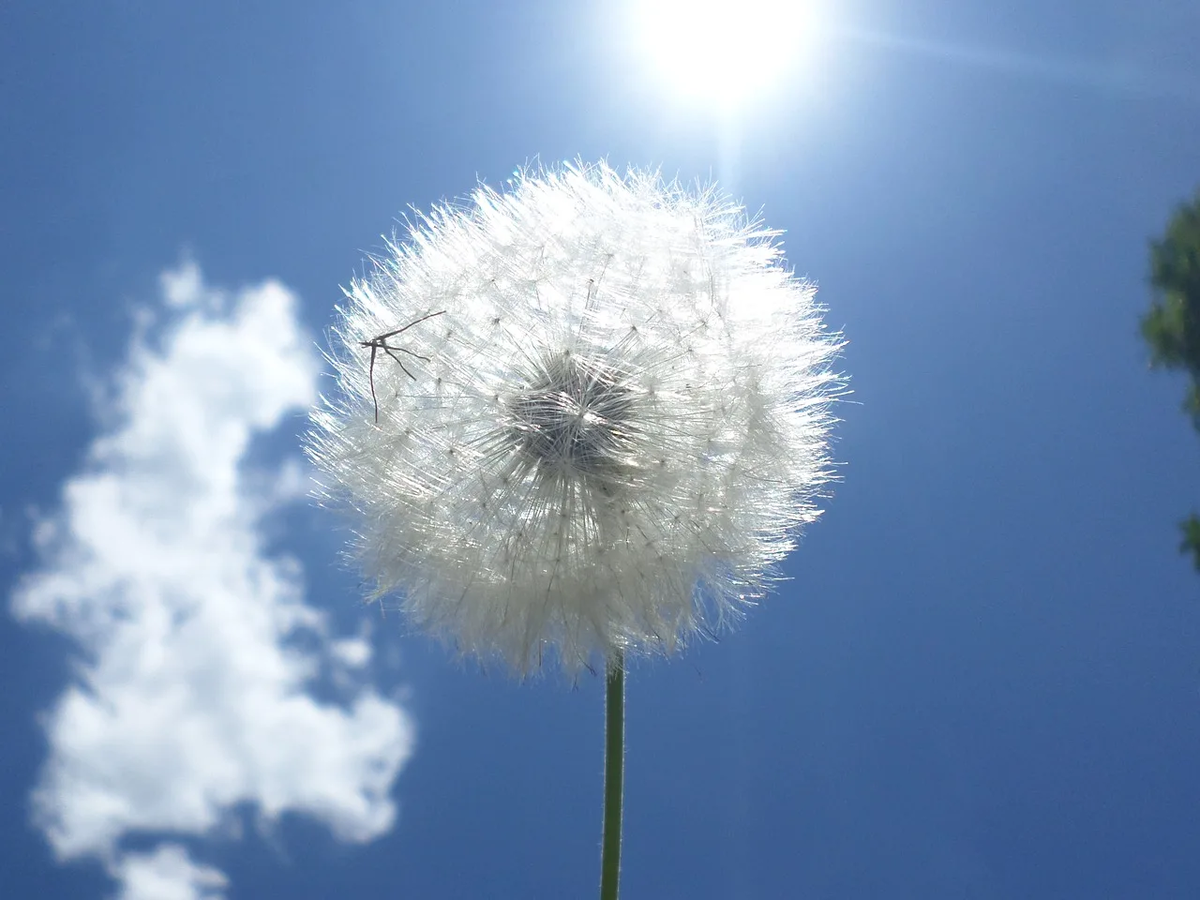 Фото из Интернета.